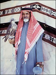 Sheikh with falcon